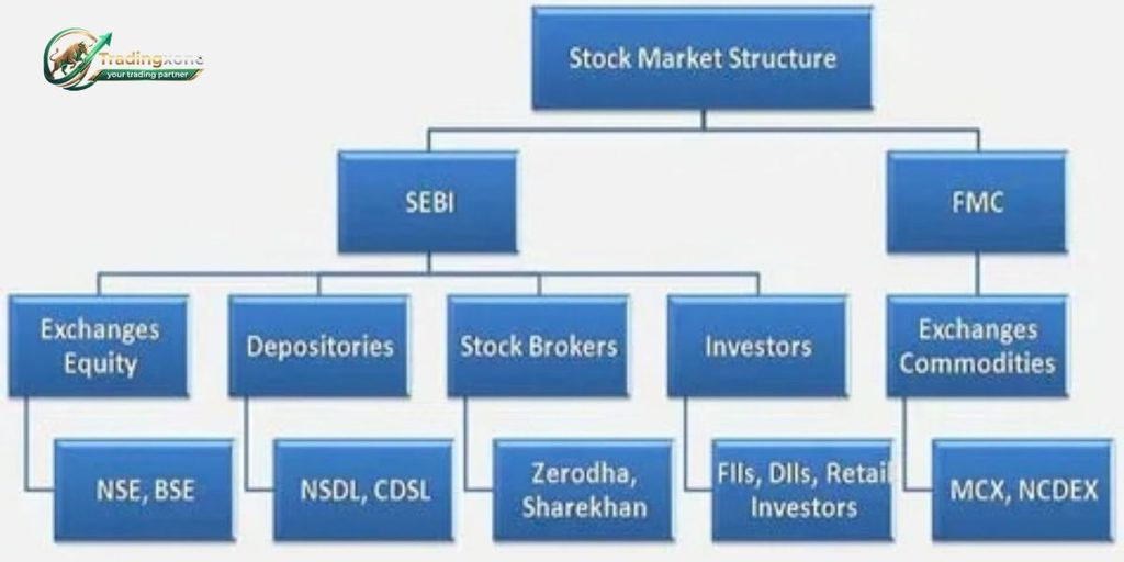 Stock Market Structure